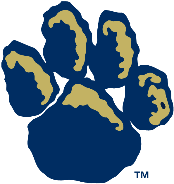 Pittsburgh Panthers 1997-Pres Alternate Logo v2 diy fabric transfer